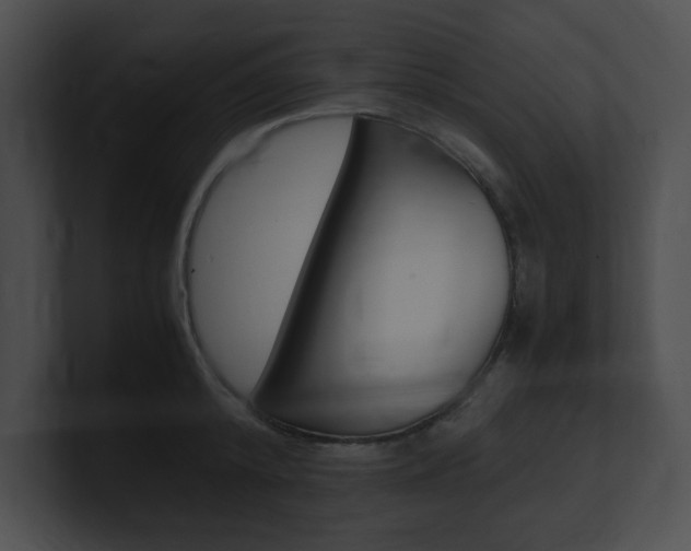 X0000101170800200806270752