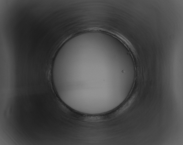 X0000101170801200806270752