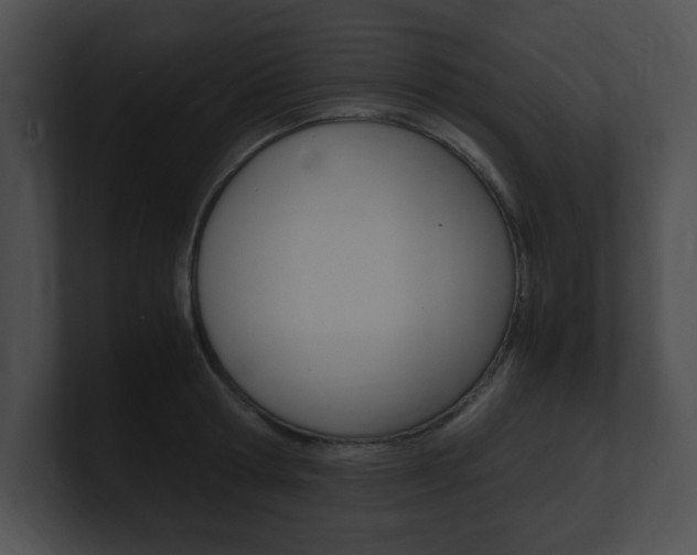 X0000101170802200806270752