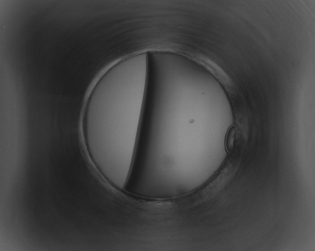 X0000101170804200806270752