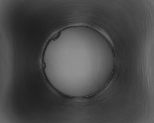 X0000101170805200806270752