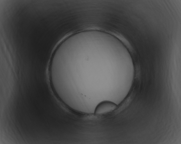 X0000101170806200806270752