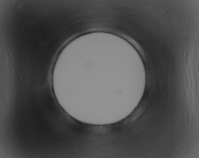 X0000101170807200806270752