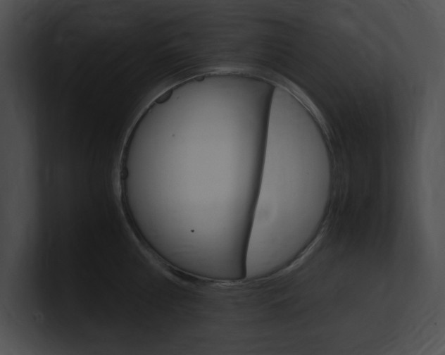 X0000101170810200806270752