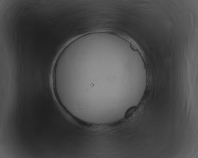 X0000101170811200806270752