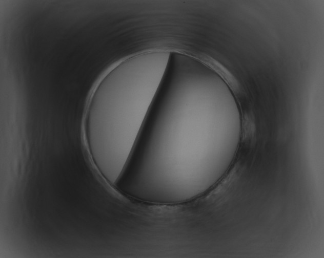 X0000101170812200806270752