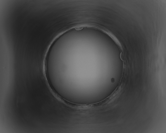 X0000101170813200806270752