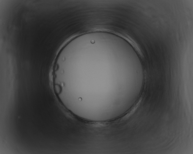 X0000101170814200806270752