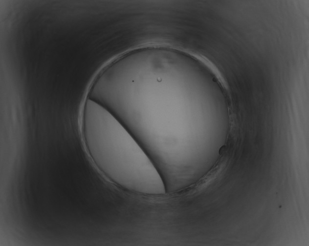 X0000101170815200806270752
