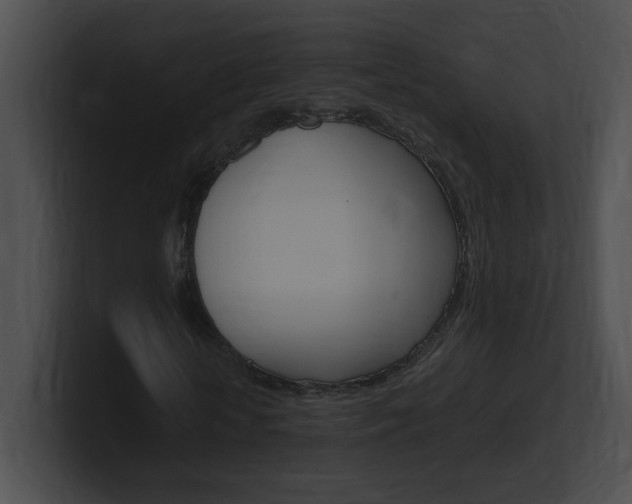 X0000101170818200806270751