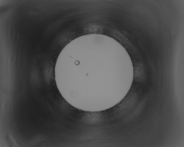 X0000101170820200806270751