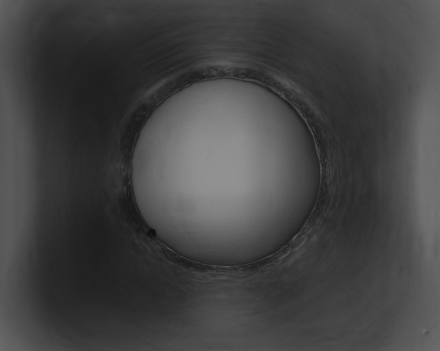 X0000101170822200806270751