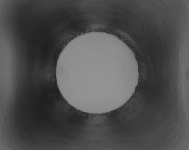 X0000101170824200806270751