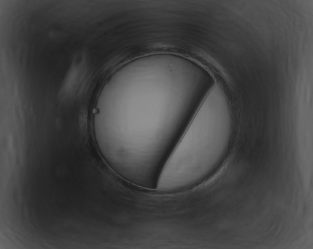 X0000101170825200806270751