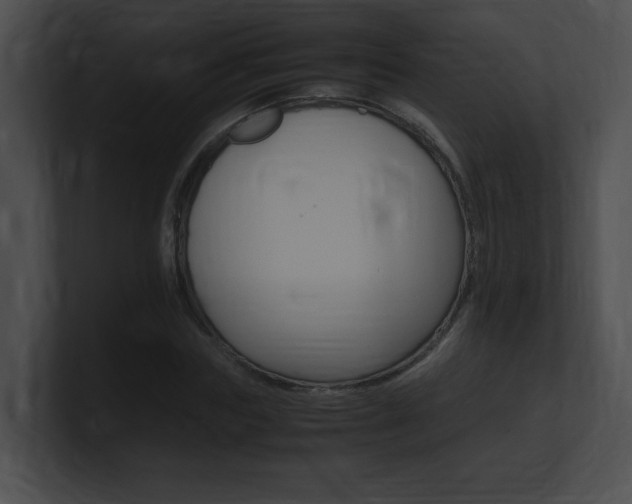 X0000101170827200806270751