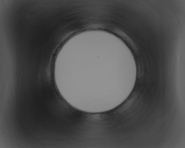X0000101170828200806270751