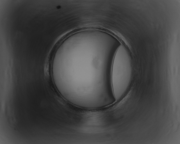 X0000101170830200806270751