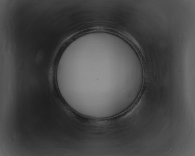 X0000101170831200806270751