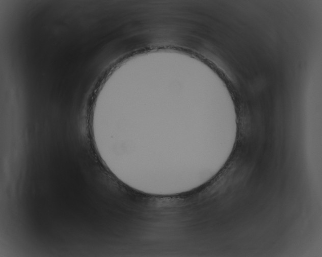 X0000101170832200806270751