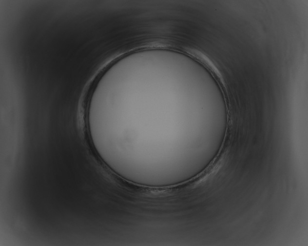 X0000101170835200806270752