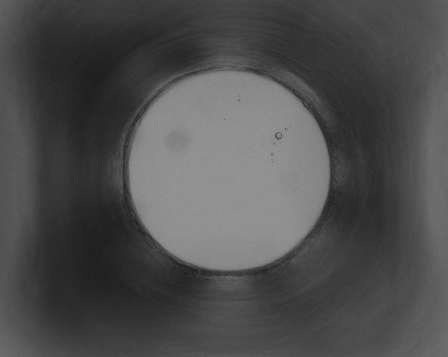 X0000101170836200806270752