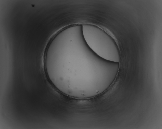X0000101170839200806270752