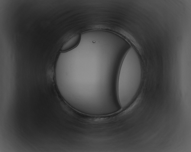 X0000101170841200806270752