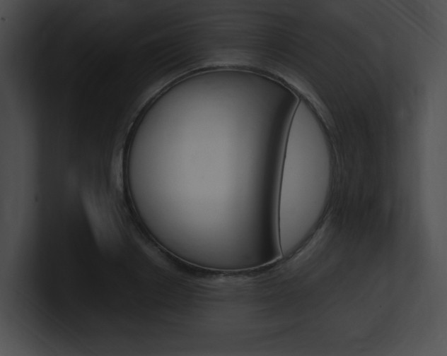 X0000101170842200806270752