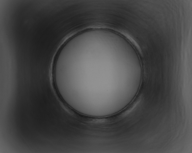 X0000101170845200806270752