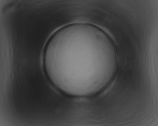 X0000101170846200806270752