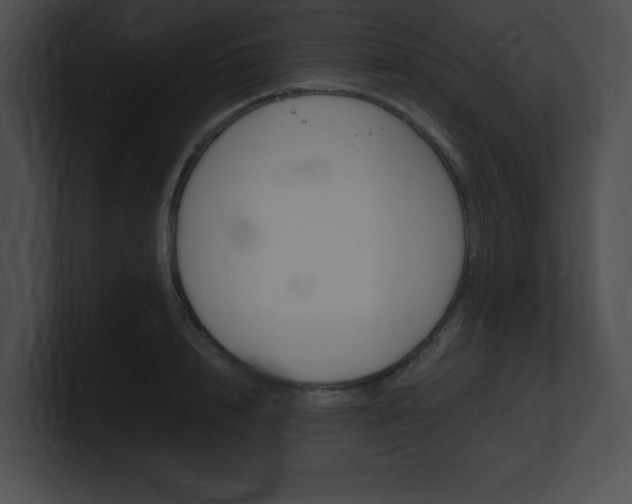 X0000101170848200806270752