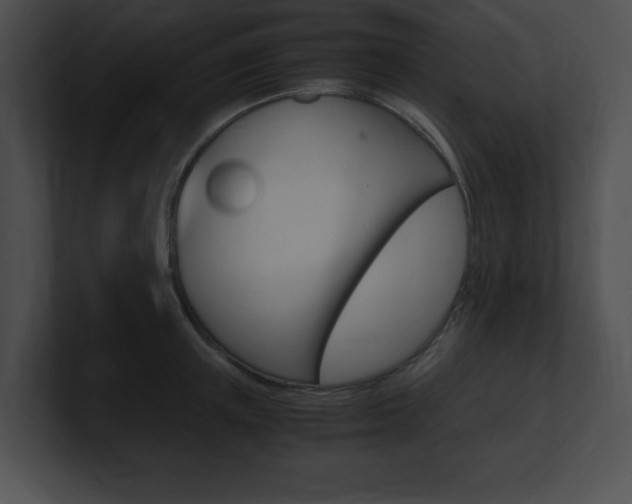 X0000101170851200806270752