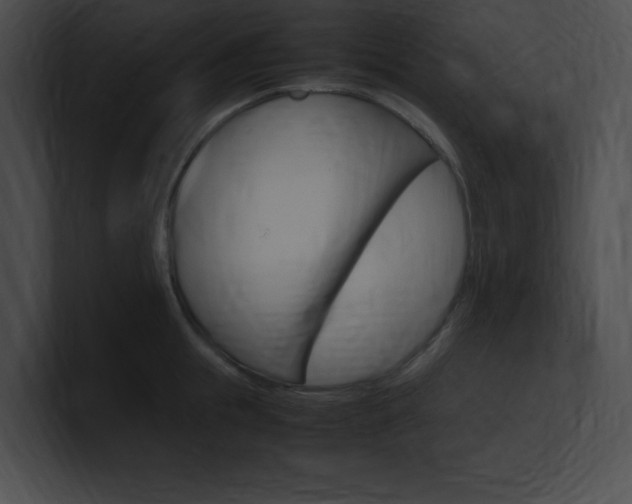 X0000101170855200806270752