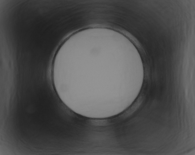 X0000101170856200806270752
