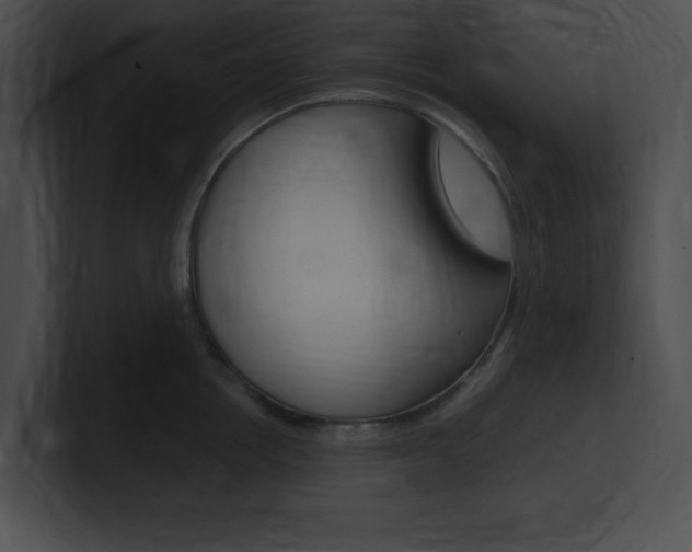X0000101170858200806270752