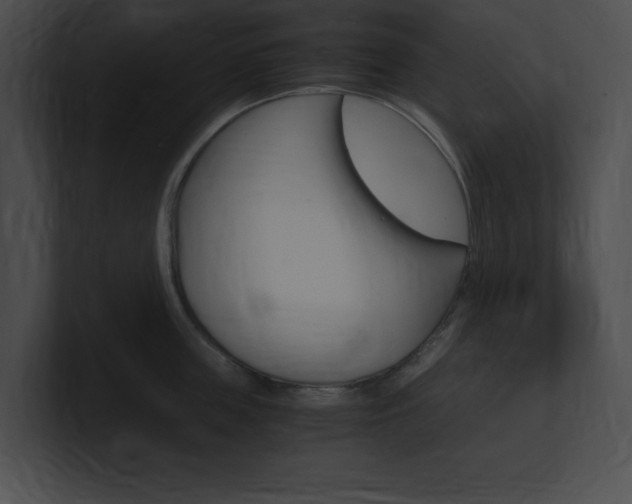 X0000101170859200806270752