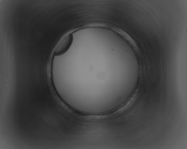 X0000101170860200806270752