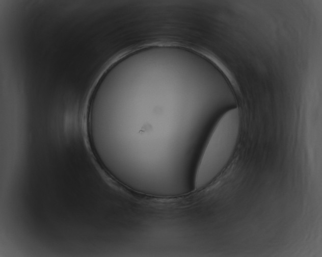 X0000101170861200806270752