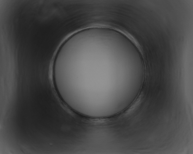 X0000101170862200806270752