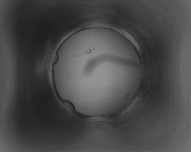 X0000101170863200806270752