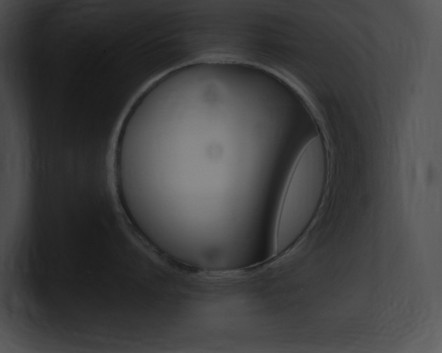 X0000101170864200806270752