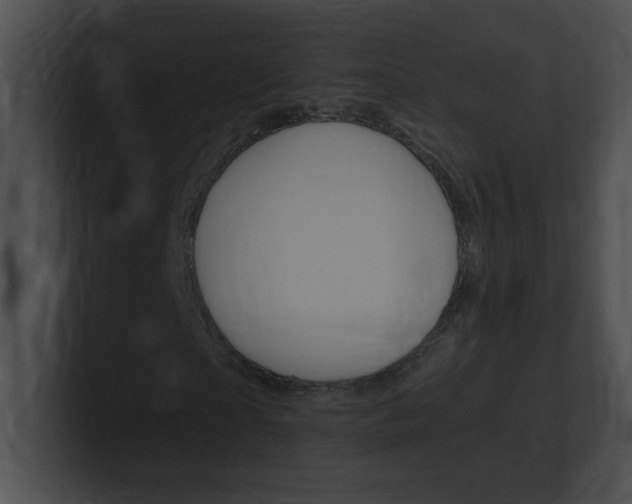 X0000101170865200806270751