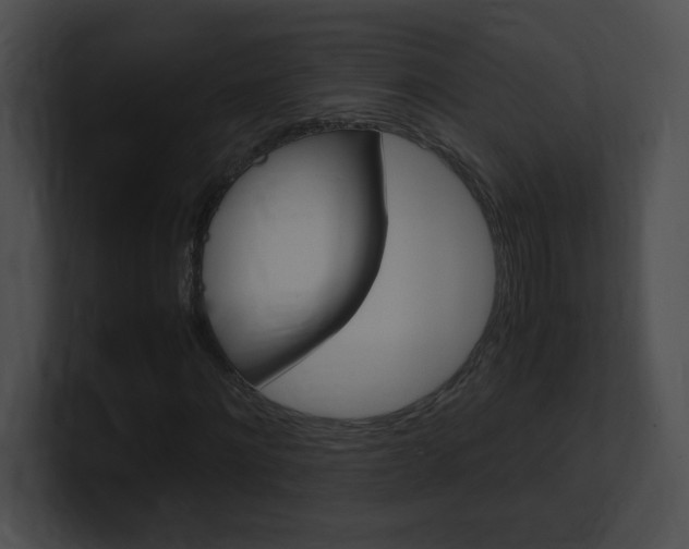 X0000101170868200806270751