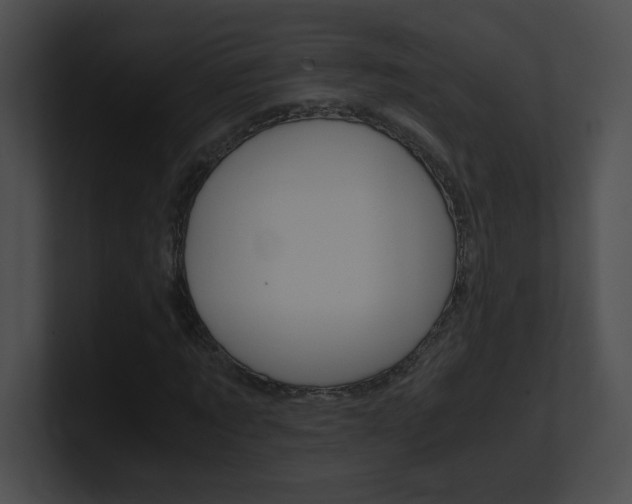 X0000101170869200806270751