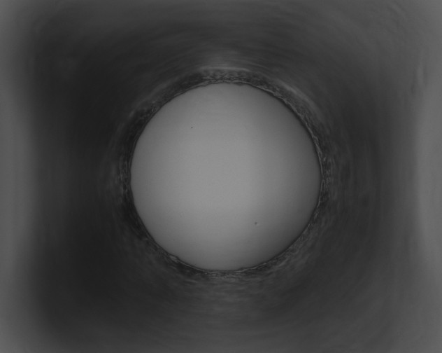 X0000101170870200806270751