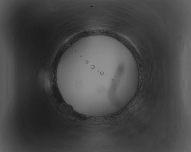 X0000101170871200806270751