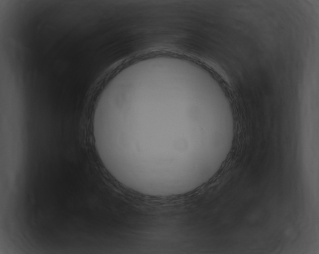X0000101170872200806270751