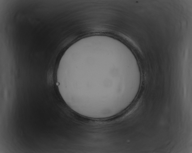 X0000101170873200806270751
