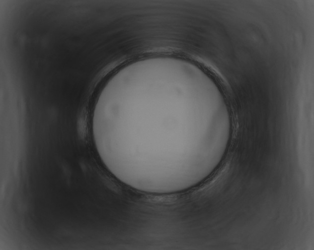 X0000101170874200806270751