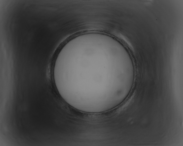 X0000101170875200806270751
